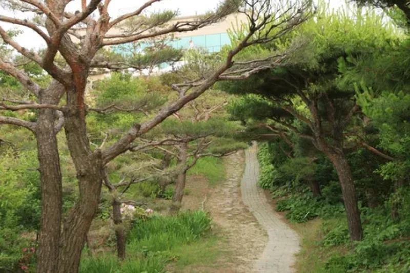 蔚山主题植物树木园