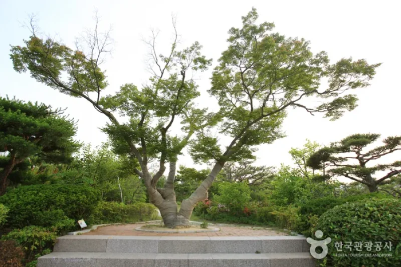 蔚山主题植物树木园