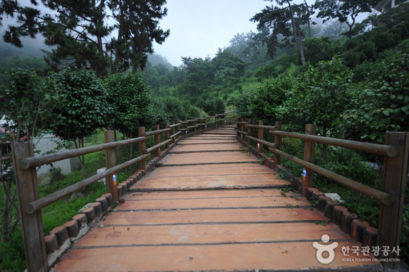 白岫海岸道路