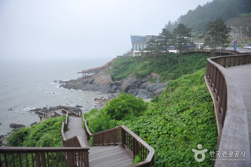 白岫海岸道路