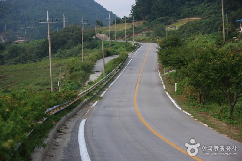 白岫海岸道路