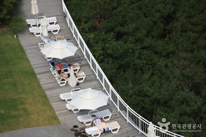 Sun Cruise主题公园