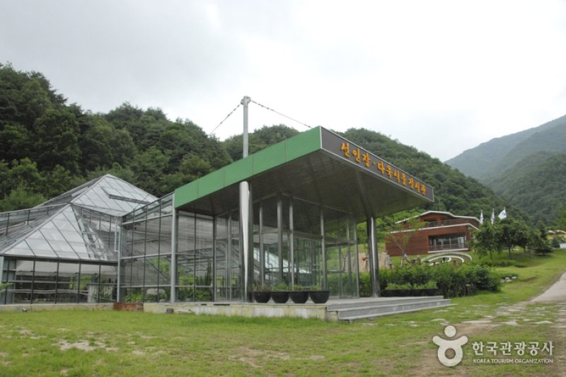 杨口生态植物园