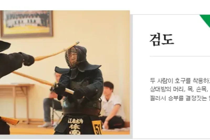 清州世界武大师大会 (1/16)