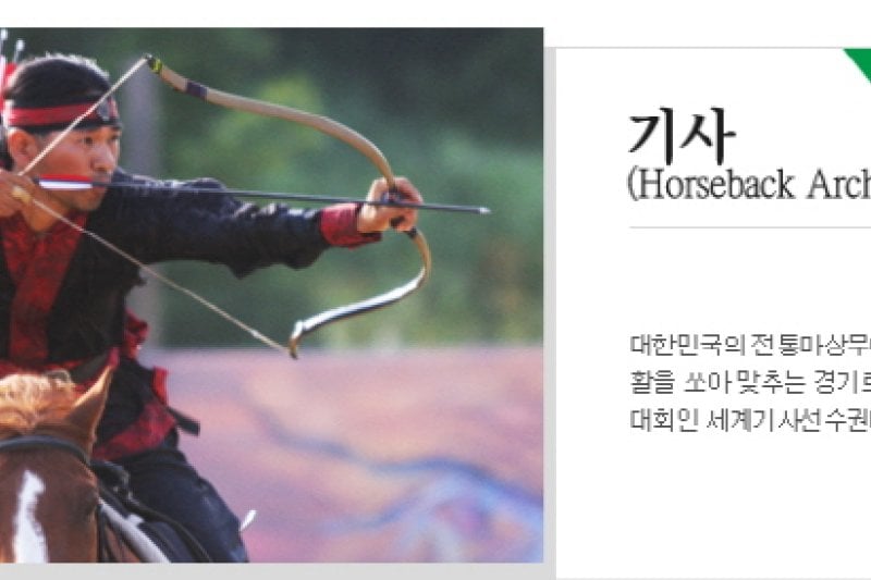 清州世界武大师大会 (2/16)