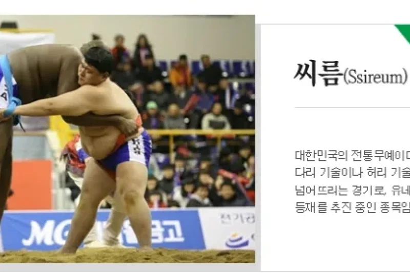 清州世界武大师大会 (5/16)