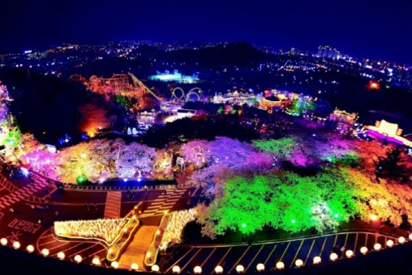 E-WORLD星光樱花节 2018 이월드 별빛벚꽃축제 2018