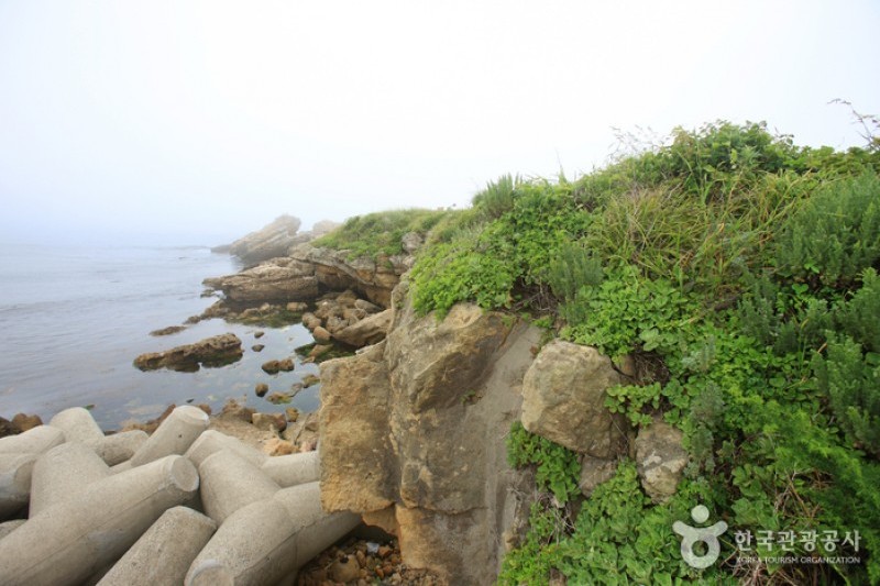 瑟岛
