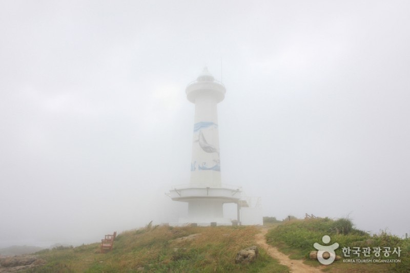 瑟岛