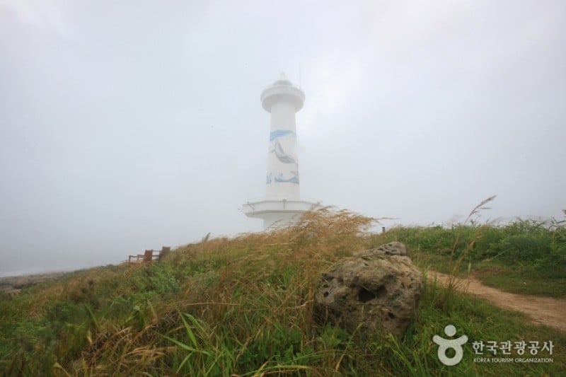 瑟岛
