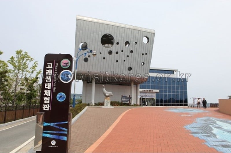 长生浦鲸鱼生态体验馆장생포 고래생태체험관 (2/9)