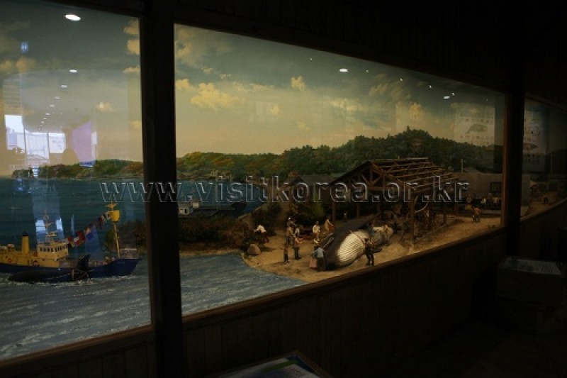 长生浦鲸鱼生态体验馆장생포 고래생태체험관 (7/9)