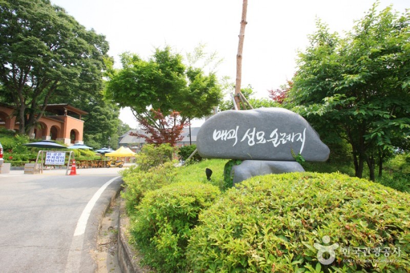 甘谷玫瑰圣母巡礼地圣堂