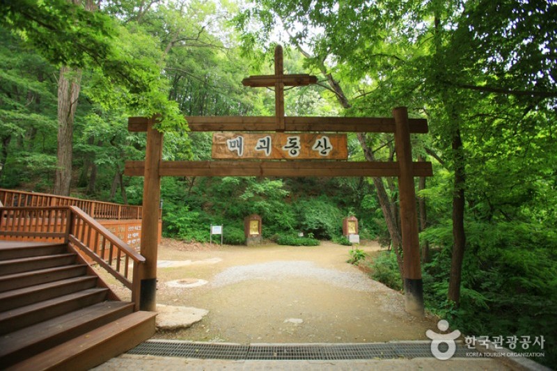 甘谷玫瑰圣母巡礼地圣堂
