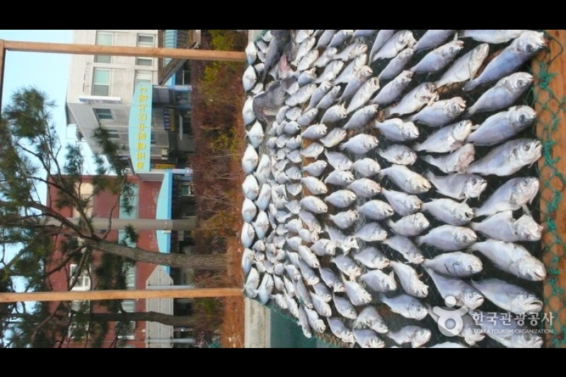 木浦综合水产市场목포 종합수산시장 (3/22)