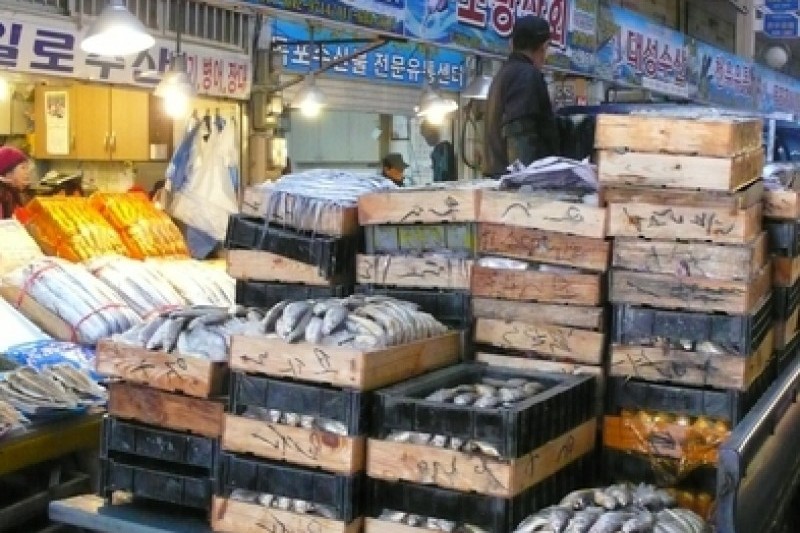 木浦综合水产市场목포 종합수산시장 (4/22)