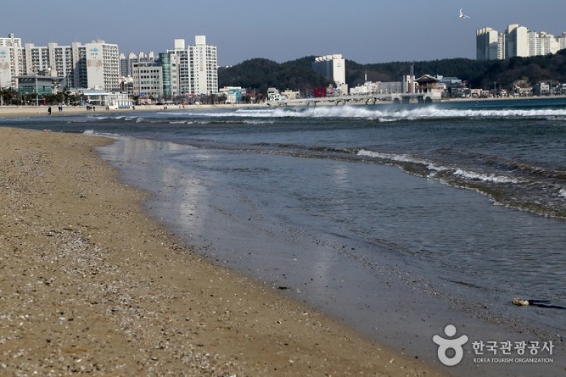 迎日台海水浴场 (29/29)