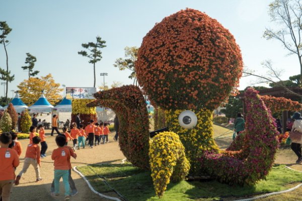 巨济岛花卉节거제섬꽃축제