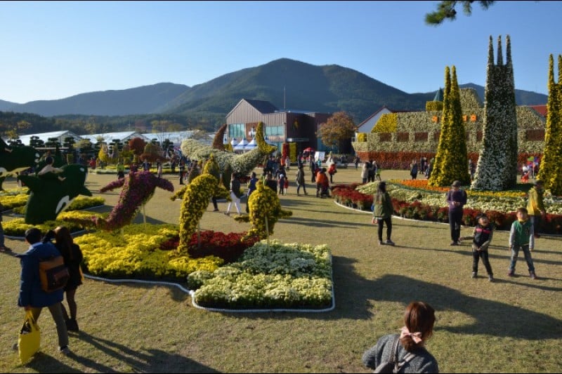 巨济岛花卉节거제섬꽃축제 (4/9)