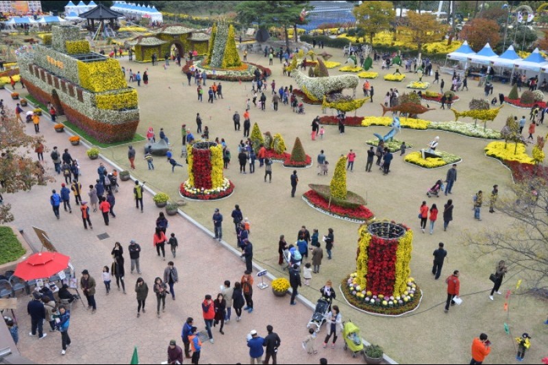 巨济岛花卉节거제섬꽃축제 (5/9)