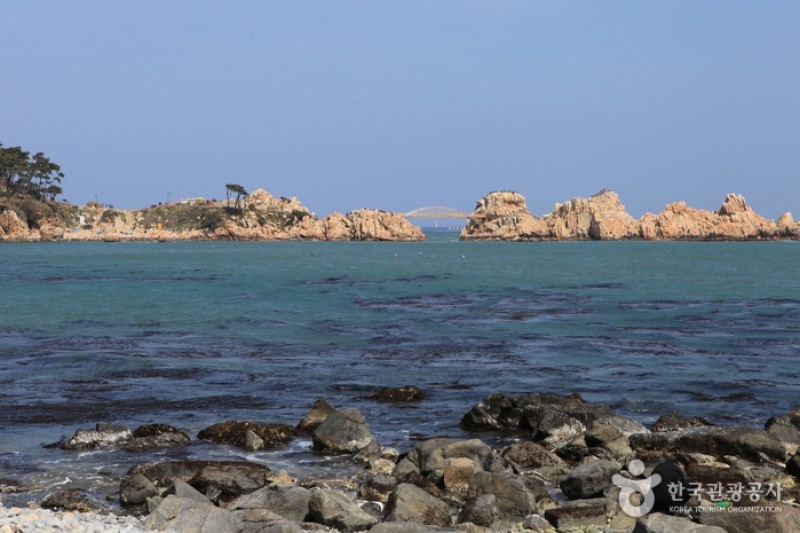 瑟岛
