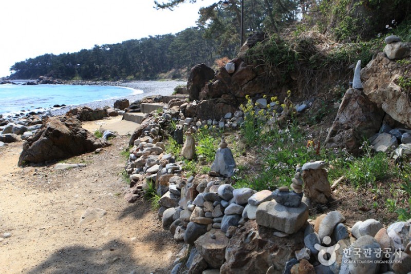 瑟岛