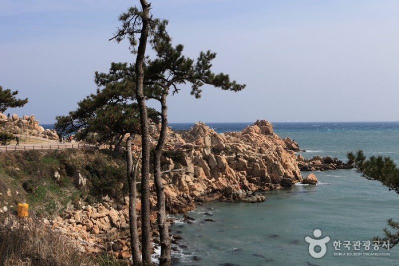 瑟岛