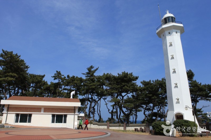 瑟岛
