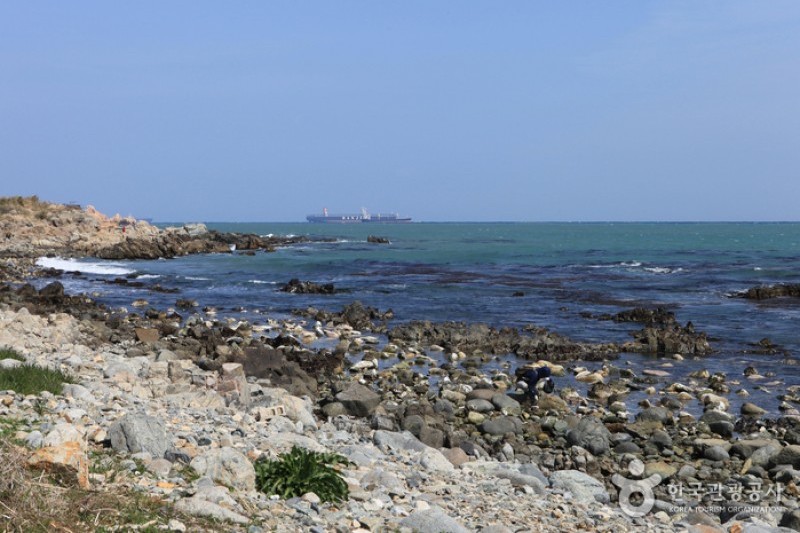 瑟岛