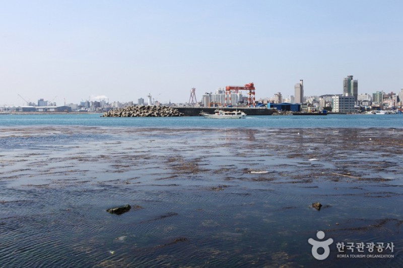 瑟岛