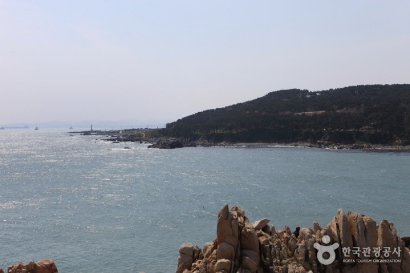 瑟岛