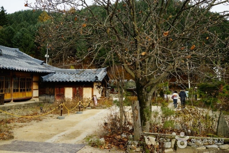 李孝石祖屋이효석 생가터