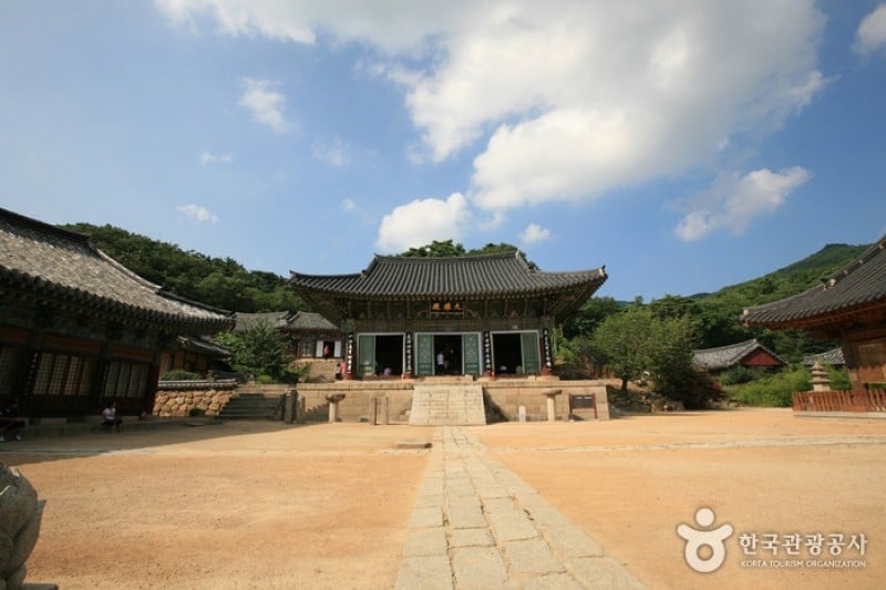 桐华寺 (3/14)