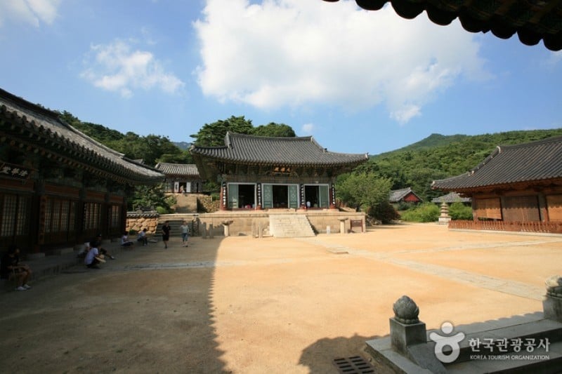 桐华寺 (5/14)
