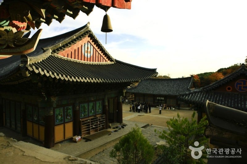 桐华寺 (8/14)
