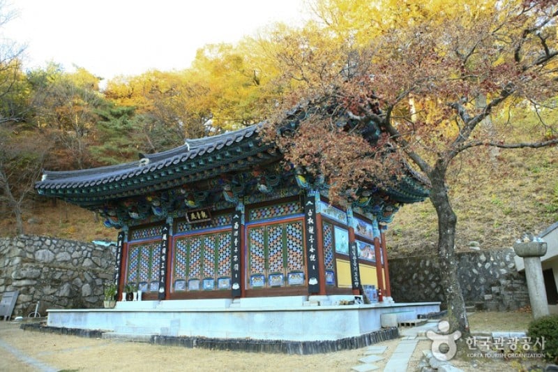 桐华寺 (9/14)