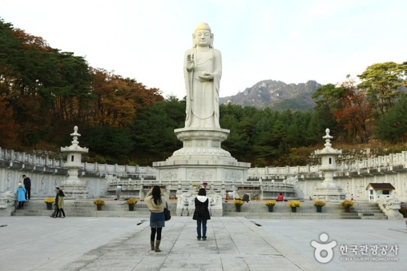 桐华寺 (11/14)