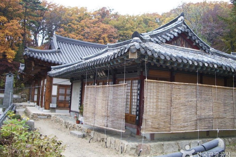桐华寺 (12/14)