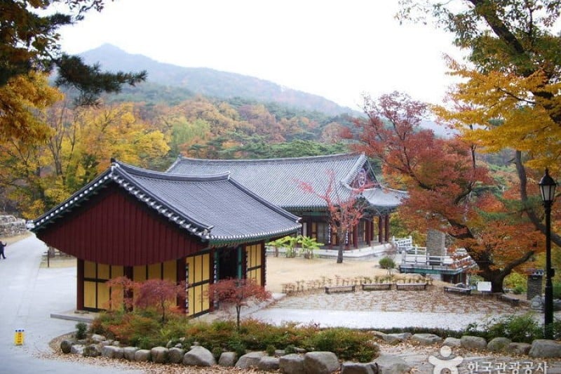 桐华寺 (13/14)