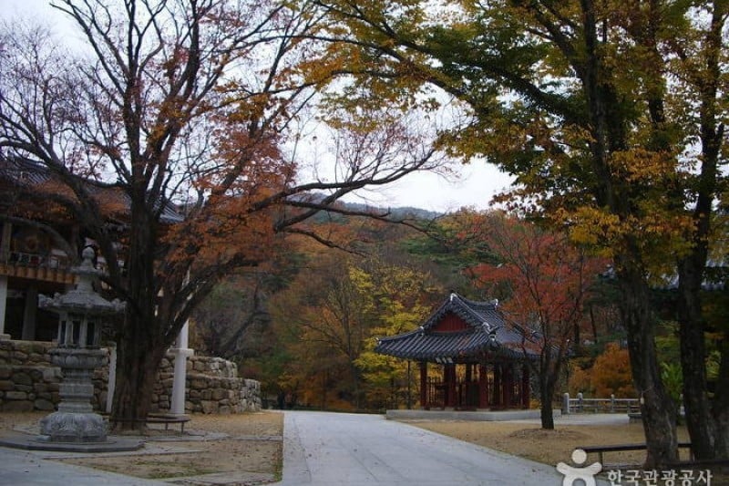 桐华寺 (14/14)