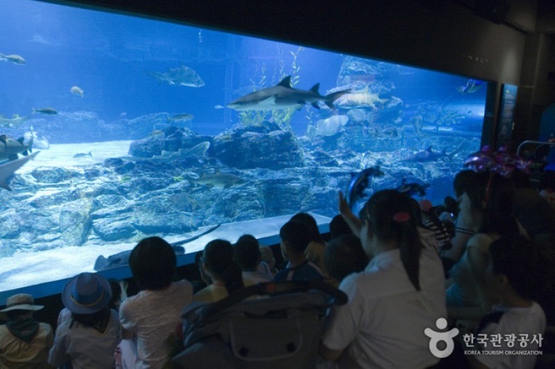 釜山水族馆