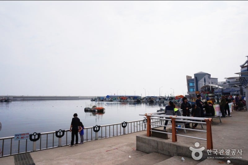 大浦港