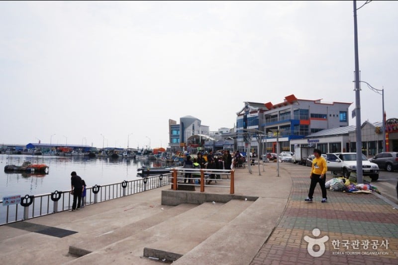 大浦港