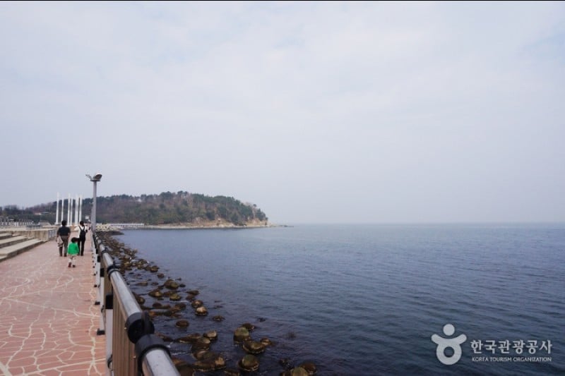 大浦港