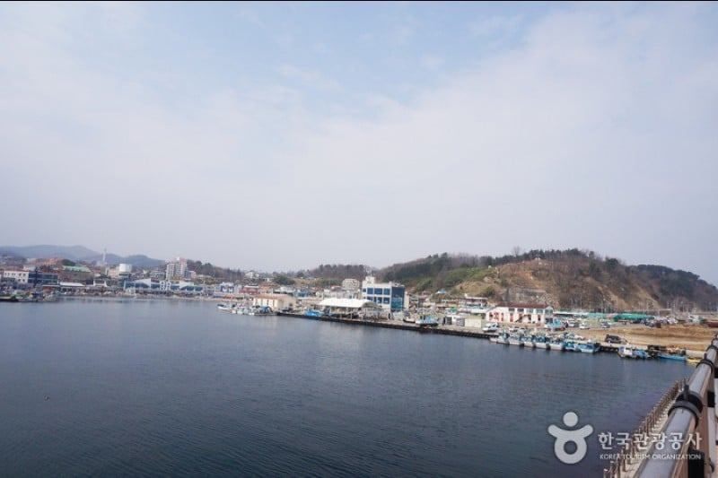 大浦港