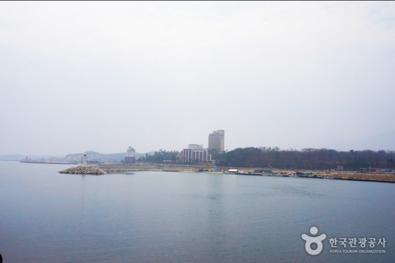 大浦港