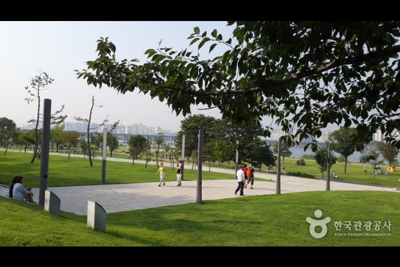 汉江市民公园汝矣岛地区 (8/12)
