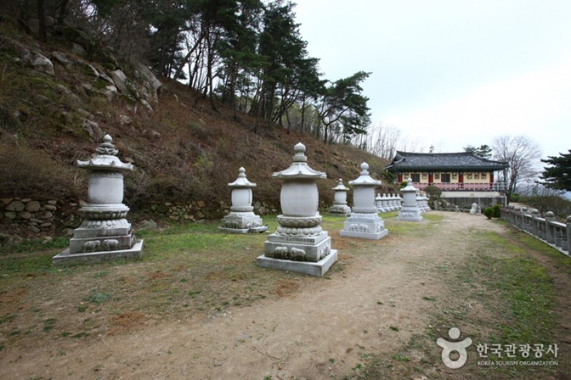 八公山自然公园팔공산자연공원 (5/5)
