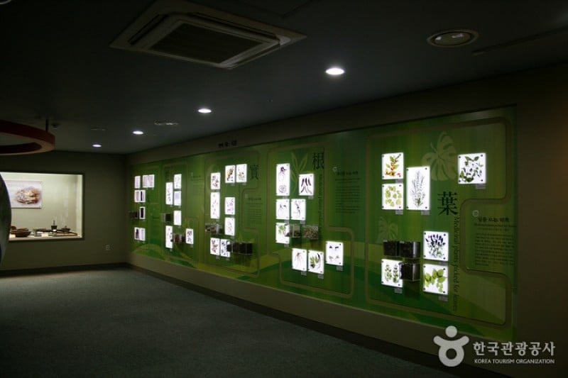 大邱药令市韩医药文化馆 (5/22)