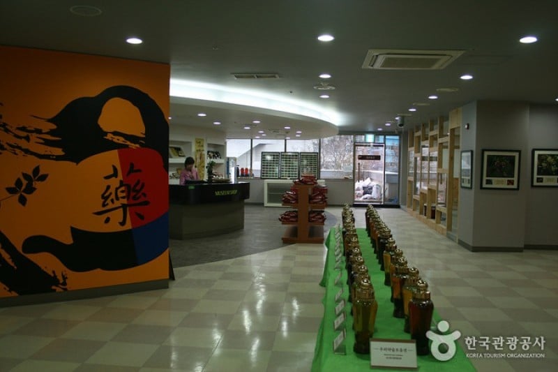 大邱药令市韩医药文化馆 (13/22)